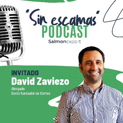 T3/C1: "Este año no habrán avances para la salmonicultura en materia legislativa"