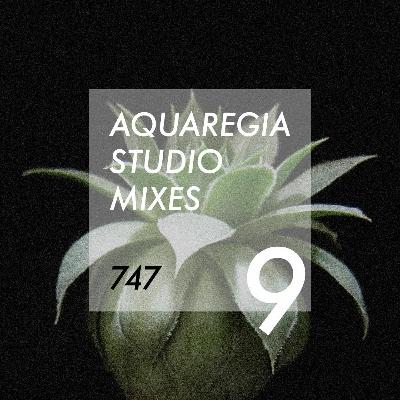 Aquaregia Studio Mix No. 9: 747 (100% Vinyl Mix) Aquaregia Studio Mix No. 9: 747 (100% Vinyl Mix)