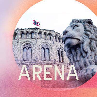 Rekordmange politiske skandaler og mediedekningen