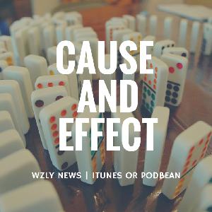 Cause and Effect Cause and Effect