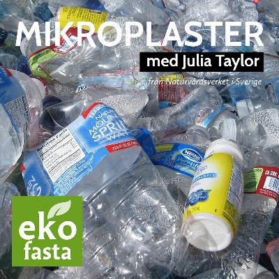 Ekofasta 2021 - Mikroplaster