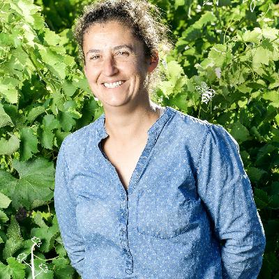 Rencontre avec Anne-Laure Sicard - Mas Lasta - en AOP Terrasses du Larzac Rencontre avec Anne-Laure Sicard - Mas Lasta - en AOP Terrasses du Larzac