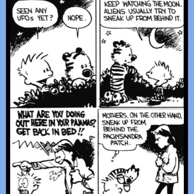 206. Fiskarna, Fåglarna & Ljus=🛸?