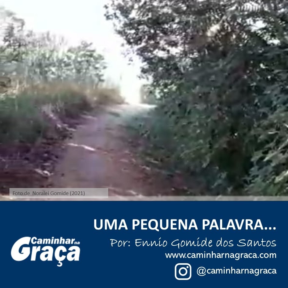Quando a obediência dói