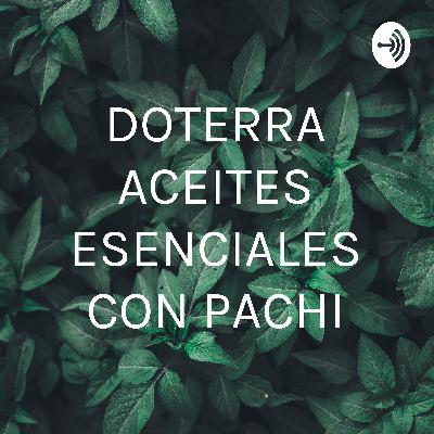 APLICACION DE LOS ACEITES ESENCIALES APLICACION DE LOS ACEITES ESENCIALES