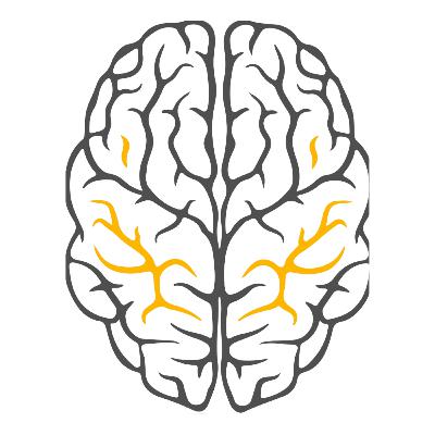 Neurosurgery Board Exam: Mastering Clinical Cases - البورد في جراحة الأعصاب