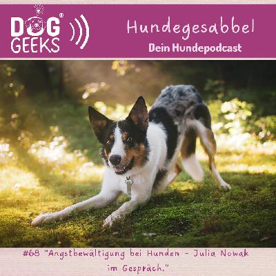 #68 DogGeeks-Hundegesabbel „Angstbewältigung bei Hunden - Julia Nowak  im Gespräch.”