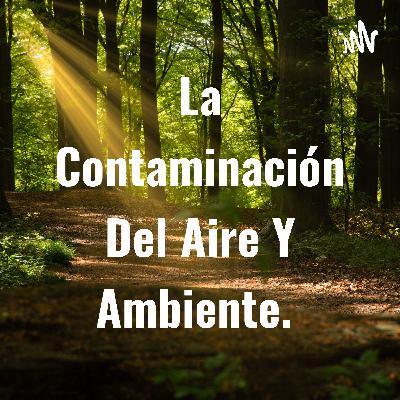 La Contaminación Del Aire Y Ambiente. 🇵🇪 (Trailer)