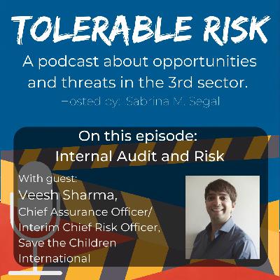 Episode 20: Tolerable Risk E020 - Veesh Sharma - Internal Audit and Risk in nonprofit organizations