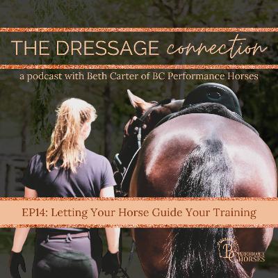 EP14: Letting Your Horse Guide Your Training