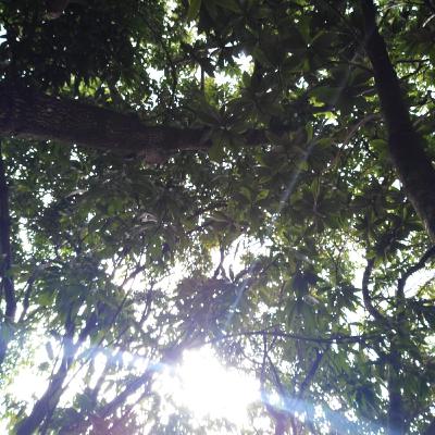 Encantos da natureza com Professor Luiz Roza Camargo