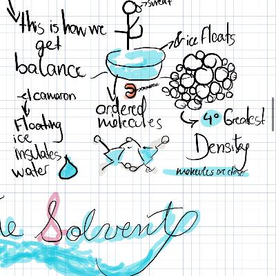 Water, Wasser, l’eau, agua - Episode 8#