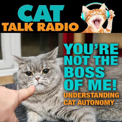 You're Not the Boss of Me: Understanding Cat Autonomy