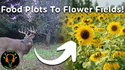 337: Turning Tillable Into Tourism: How Corey Sullivan Is Making Money With A U-Pick Flower Business On His Hunting Property