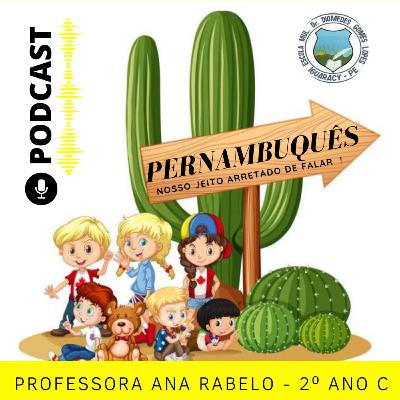 PROJETO PERNAMBUQUÊS