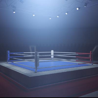 Out In The Ring Out In The Ring