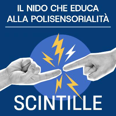 22 - Il nido che educa alla polisensorialità | Con Riccardo Masin (Comune di Galzignano Terme) 22 - Il nido che educa alla polisensorialità | Con Riccardo Masin (Comune di Galzignano Terme)