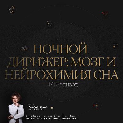 4/10 Ночной дирижёр: мой и нейрохимия сна
