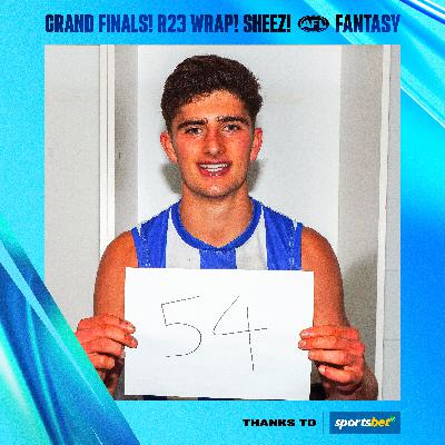 Fantasy Grand Finals, R23 review, Sheez's 186