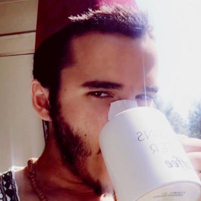 Zaini - Sophistry and Esotericism