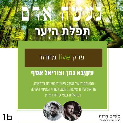 פרק 16 - תפילת היער פרק 16 - תפילת היער