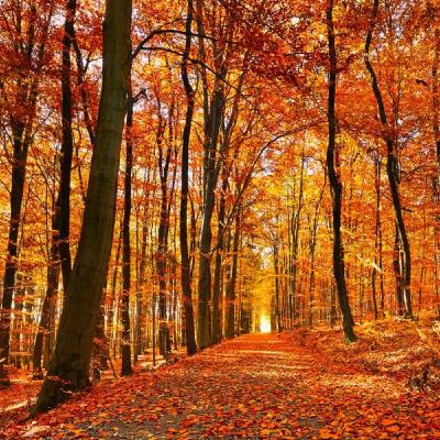 Episode 36: Sounds of Eighty Six, October 2023