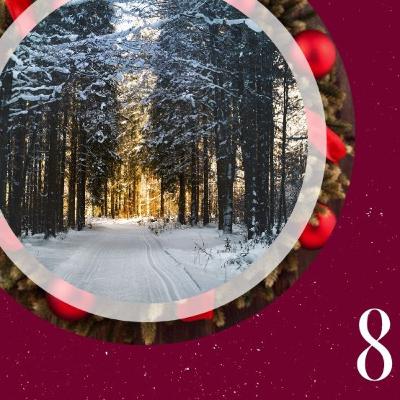 Stefanies liebste Weihnachtsgeschichte Stefanies liebste Weihnachtsgeschichte