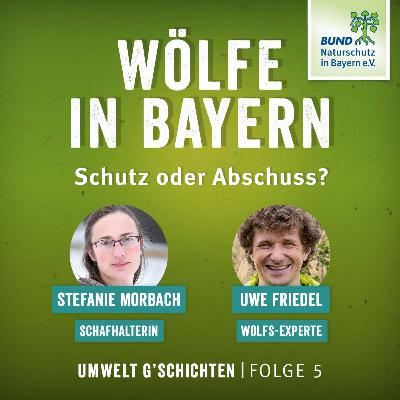 Wölfe in Bayern – Schutz oder Abschuss? Wölfe in Bayern – Schutz oder Abschuss?