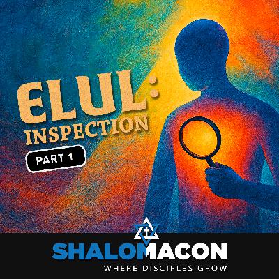Part 1 - Elul: Inspection