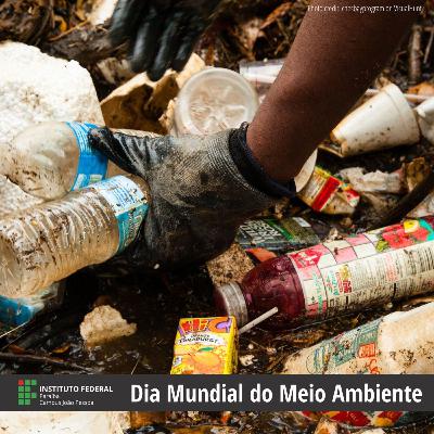 O Assunto é - Dia Mundial do Meio Ambiente O Assunto é - Dia Mundial do Meio Ambiente