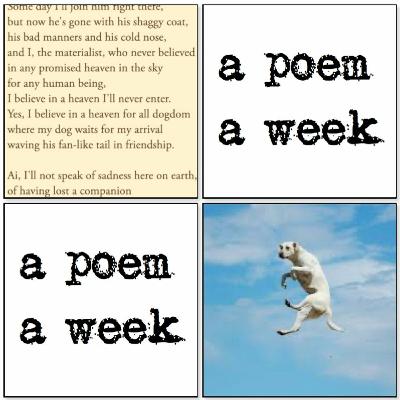 Ep.94 - 'A Dog Has Died' by Pablo Neruda (Read by Emma Hammond) Ep.94 - 'A Dog Has Died' by Pablo Neruda (Read by Emma Hammond)
