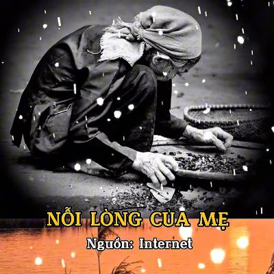Nỗi lòng của Mẹ - Đường về tỉnh thức #08