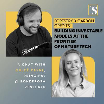 Forestry x Carbon Credits: Building Investable Models at the Frontier of Nature Tech. A chat with Chloë Payne, Principal @ Ponderosa Ventures Forestry x Carbon Credits: Building Investable Models at the Frontier of Nature Tech. A chat with Chloë Payne, Principal @ Ponderosa Ventures