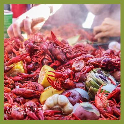 Black Food Matters pt 2 | EnvironMental Podcast - Food & Agriculture