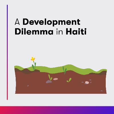 A Development Dilemma in Haiti