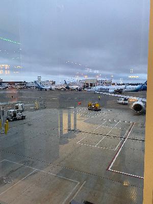 Up...Up...and Away ✈️ Up...Up...and Away ✈️