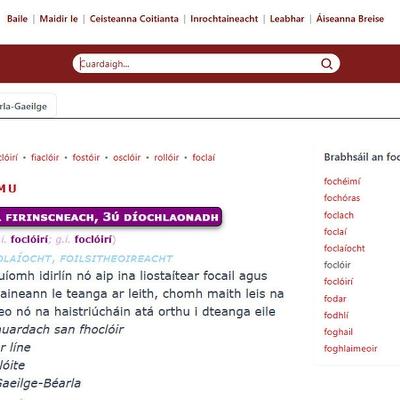 Pádraig Ó Mianáin : Eagarthóir Foclóir Nua na Gaeilge. Pádraig Ó Mianáin : Eagarthóir Foclóir Nua na Gaeilge.