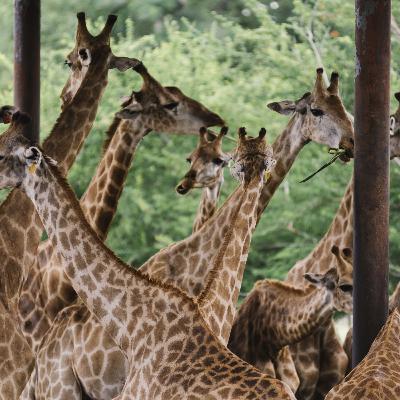 Ep. 5 - entre amigas Ep. 5 - entre amigas