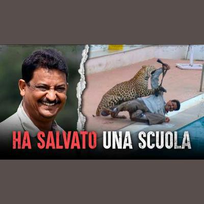 Uomo salva una scuola da un leopardo, e altri incontri selvaggi Uomo salva una scuola da un leopardo, e altri incontri selvaggi
