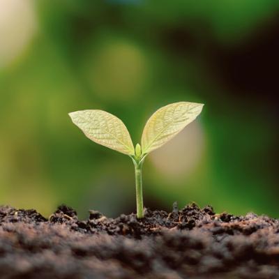 The Kingdom of God - Jonathan Bell (Guest Speaker)