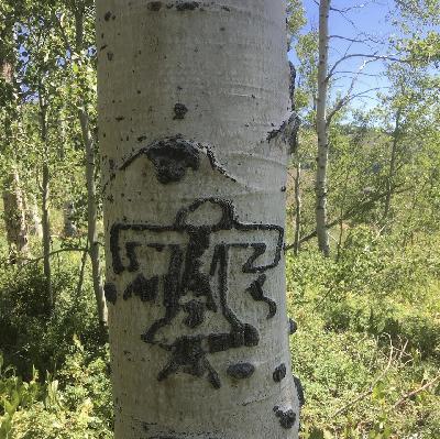 An aspen grove in the Jarbidge Wilderness, Nevada, USA in Autumn 2019 – by Fil Corbitt An aspen grove in the Jarbidge Wilderness, Nevada, USA in Autumn 2019 – by Fil Corbitt