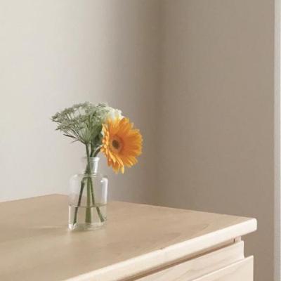 Hubungan Sejarah Dengan Psikologi