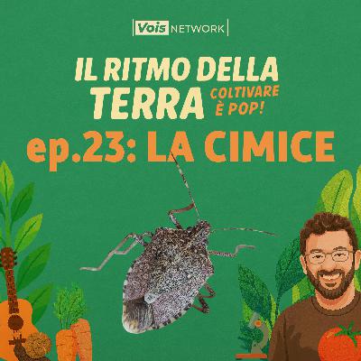 ep 23: la cimice