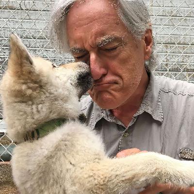 Capturing Curious Minds - Communicating Complex Science