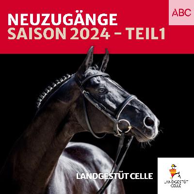 Neuzugänge 2024 Teil 1 Neuzugänge 2024 Teil 1