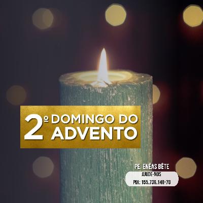 Homilia Dominical | A Igreja que clama no deserto.