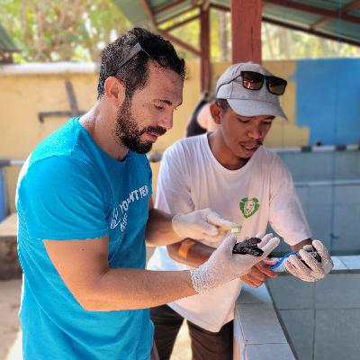 139. Voluntariado en Bali