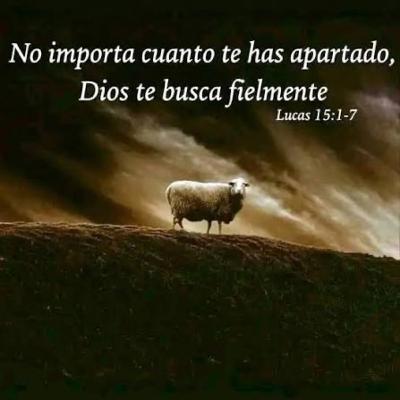 Evangelio del Martes 9 de Diciembre. Mateo 18,12-14