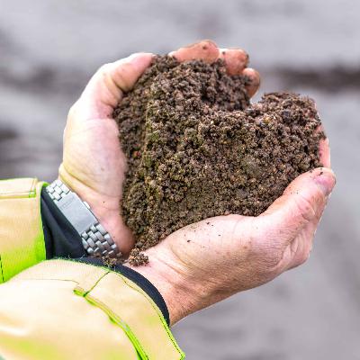 Vägen till torvfri jord