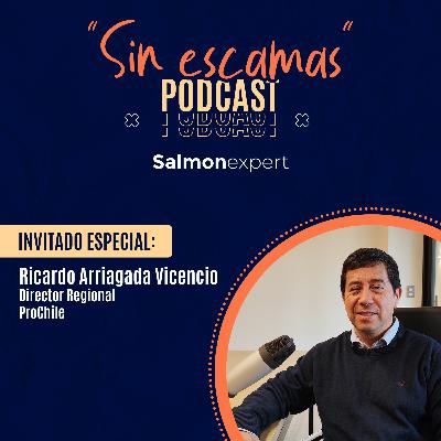 Cap 15 / Temp 2: Ricardo Arriagada, Director Regional de ProChile Los Lagos